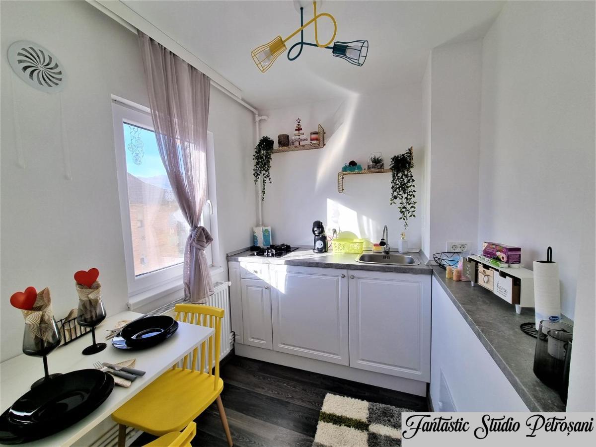 ~Fantastic Studio Petrosani~ 아파트 외부 사진