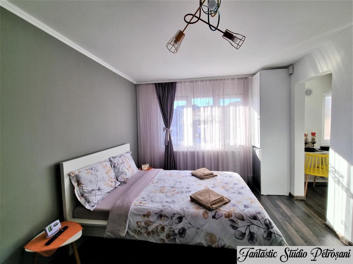 ~Fantastic Studio Petrosani~ 아파트 외부 사진